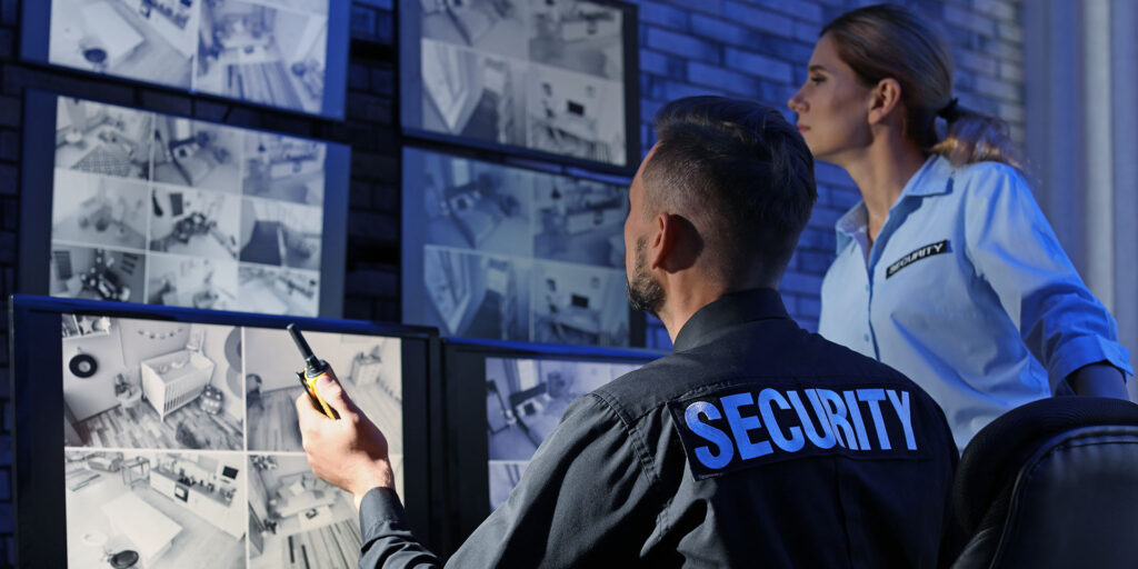 Security Consulting
